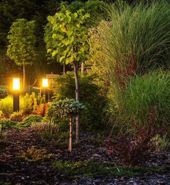 backyard garden illuminated by led outdoor garden lighting qy4mzje35n01l04x0yj726rl397pdir2cn7q62qm7k