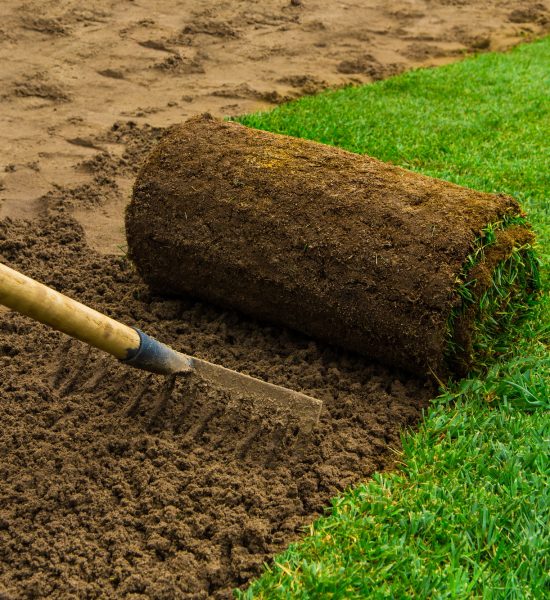 lawned garden qy4eepj1p88j18q8dgrxu4bitre8dkpx82wlt8n6k0