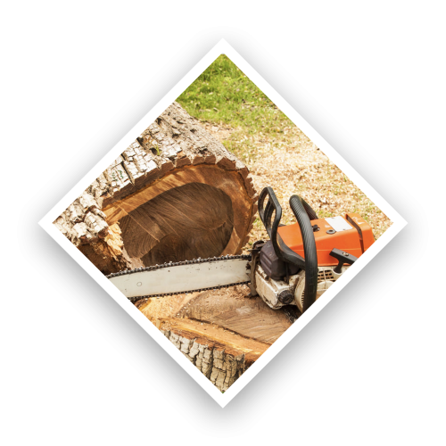 ser2 qy300i749tbqmb7ko9tkiu2goe1jxlv0jysf8y2ufc